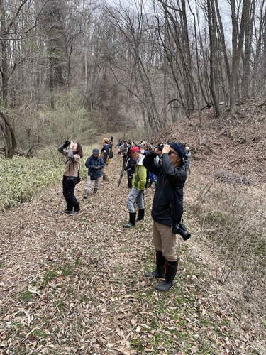 浅間高原野鳥の会合同観察会のイメージ画像