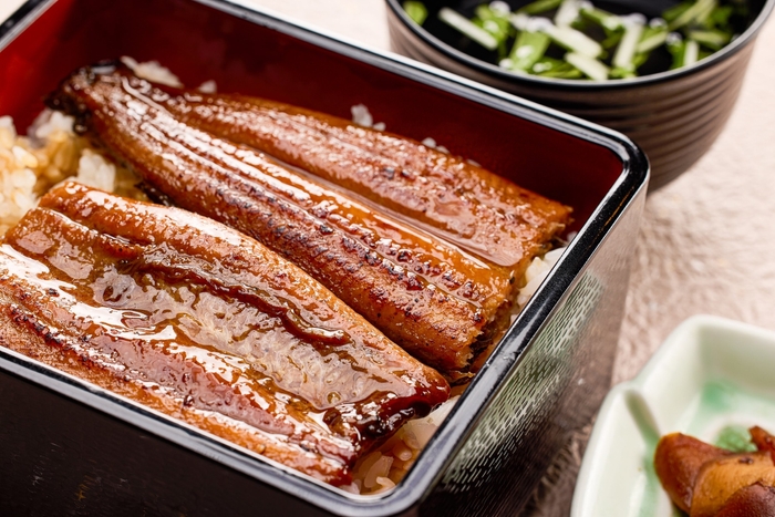 Yk9Wc9Mk4WvfenUdQ8Yn