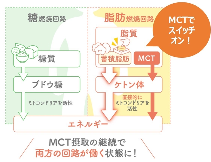 図解_燃焼回路