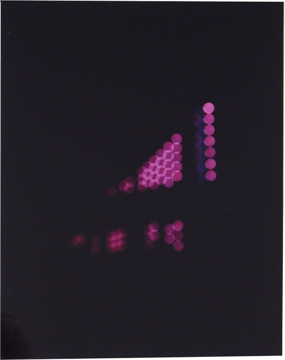 審査員特別賞／名和晃平賞：『Cell』 岡田舞子