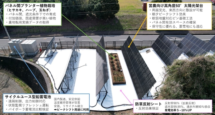 写真1：牧之原市営農型太陽光発電所　兼　実証フィールド