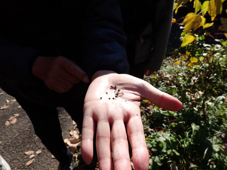 過去のイベントの様子