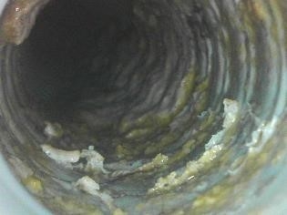 パイプ内汚れ:Before