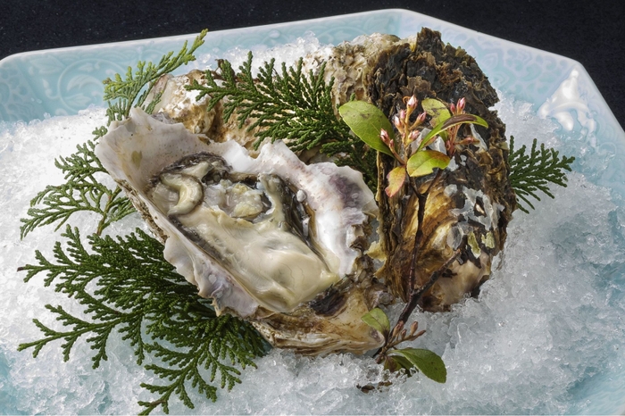季節の一品　岩牡蠣