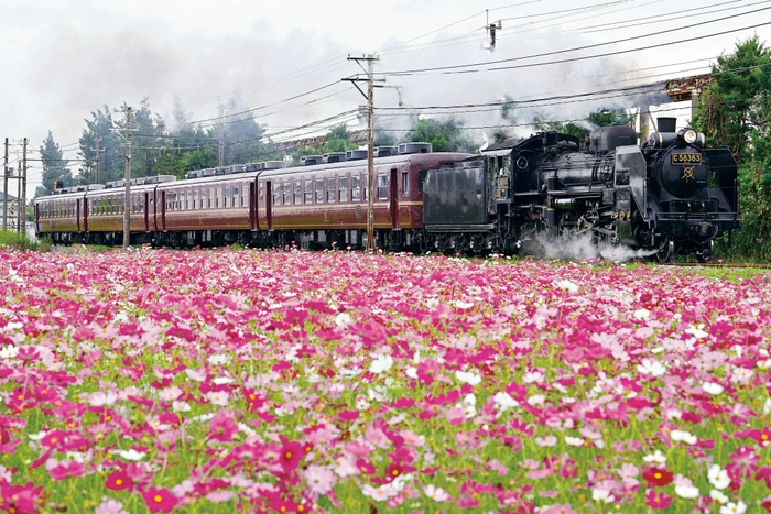 SLパレオエクスプレス イメージ