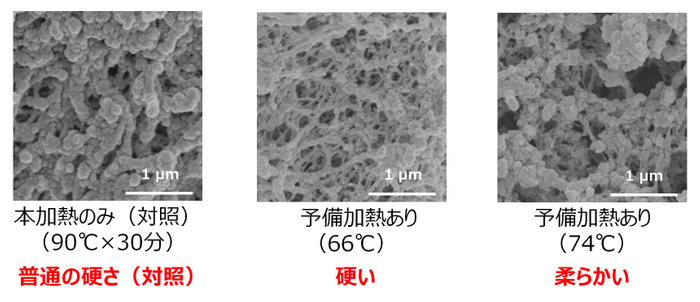 図1：予備加熱の有無と温度による、卵白部の微細構造の違い（顕微鏡写真）