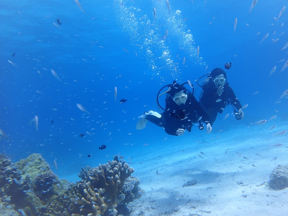 宿泊とダイビング(1)