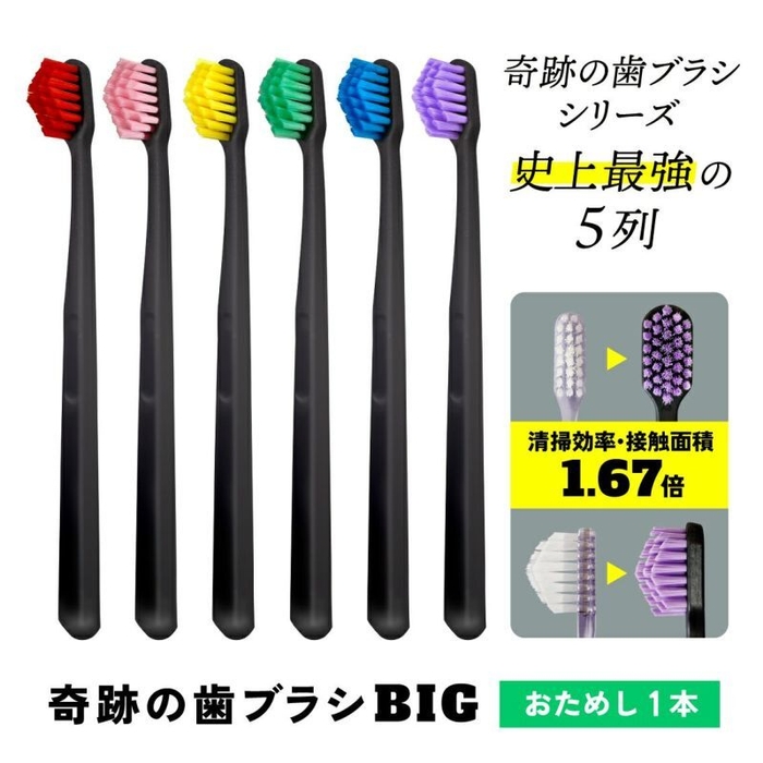 奇跡の歯ブラシBIG