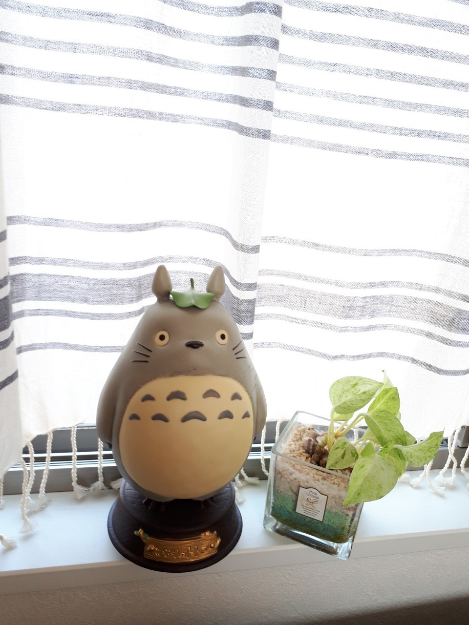 大好きなトトロがインテリアに。オルゴールに耳を傾けて。