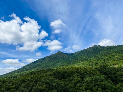 筑波山