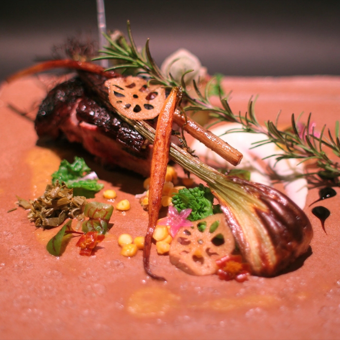 バルドー家のシャラン鴨