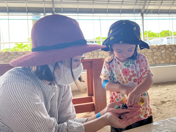 見つけたパワーストーンは全て持ち帰れる