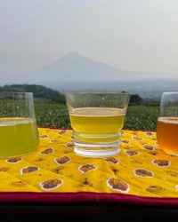富士山の麓で育った新茶のフレーバーティープロジェクトを 6月10日マクアケにてスタート！