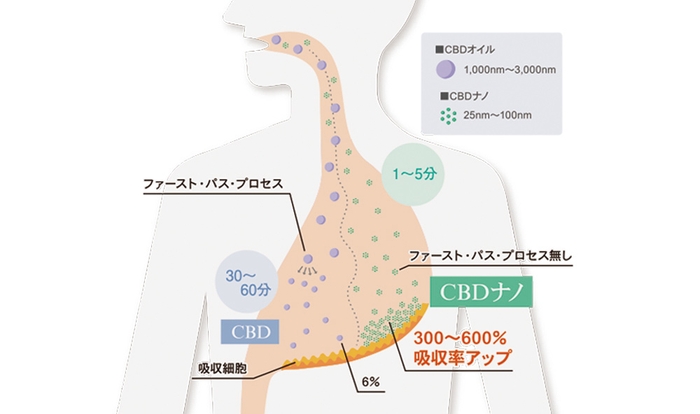 従来のCBDに対して、吸収率最大600%アップ