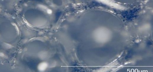 ウレタン拡大図