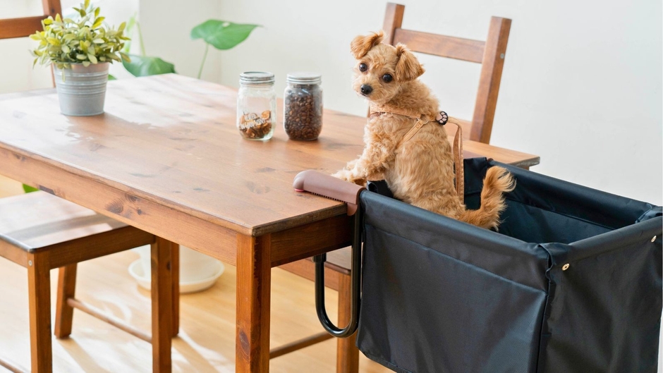 広めの箱型構造を採用したことで、ペットが自由に向きを変えられる