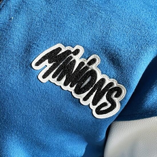 ディズニーブルゾン