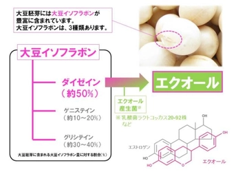 大豆イソフラボン活性代謝物エクオール産生能とPMS/PMDDの関係について　日本女性医学学会学術集会にて発表