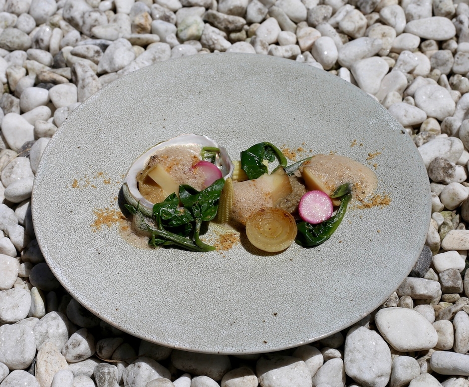 ＜和蒸×発酵×伊技法＞