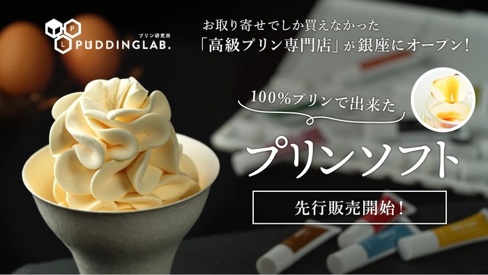 100%プリンソフト1