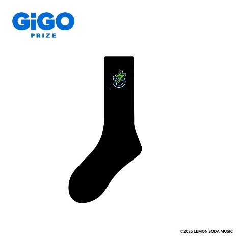 ▲名称非公開 【急募】迷子の靴下【もう片方】