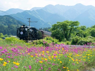 ケロちゃんコロちゃん×秩父鉄道が1日限りのコラボ！ 9月4日「SLケロコロエクスプレス」を運行　 秩父地域密着型SLイベントも9月18日・19日に開催！