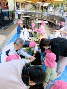 みんなでたくさん収穫だ！