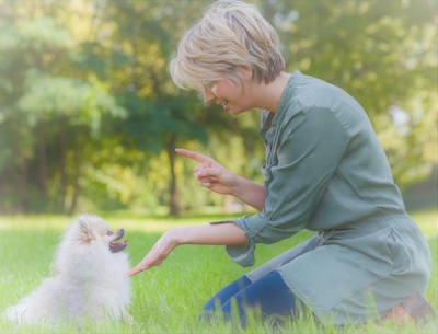 マウンティングは、愛犬を飼っている家族全員で取り組む必要があります。その具体的な方法としては以下の通りです。