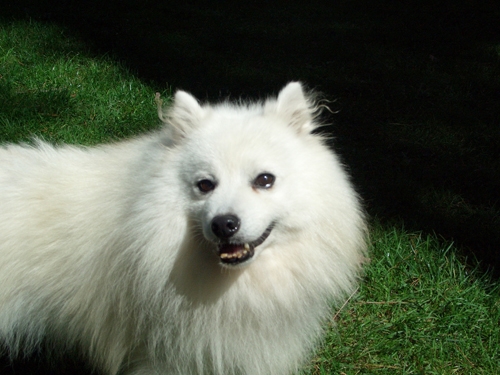 参加賞もあるよ!