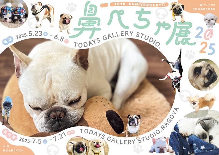 キービジュアル(横)