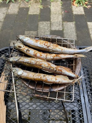 メヒカリ