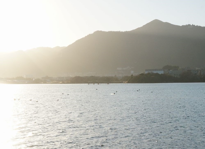 夕景と水鳥