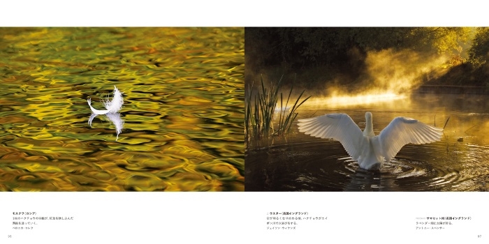 『心震える絶景 一生に一度、目にしたい景色』中面