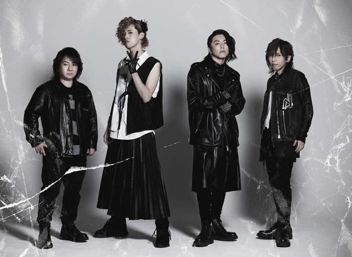 Nicori Light Tours プロフィール