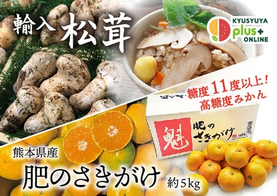 松茸特集・肥のさきがけ