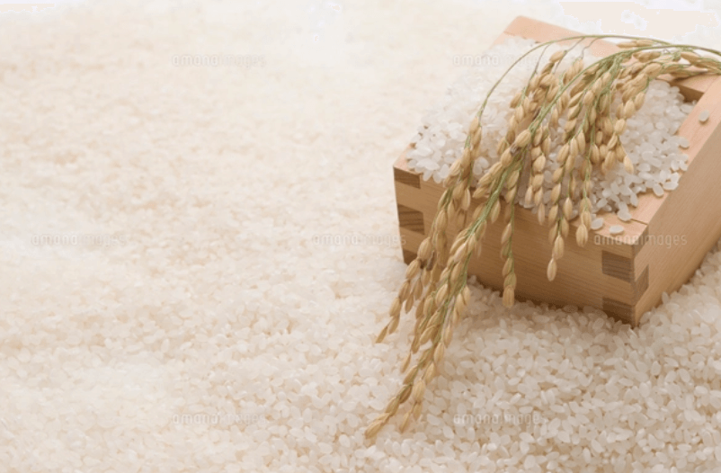 富山県産「てんたかく」2