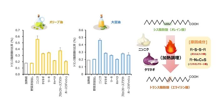 図１：含硫化合物を含む野菜が加熱調理（180 ℃、30分）工程において トランス脂肪酸（エライジン酸）の生成に及ぼす影響とメカニズム