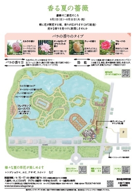 サマーシーズン2026 香の情報