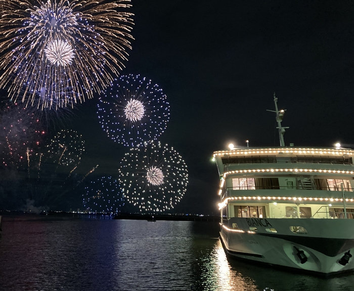 夜空を彩る打上花火