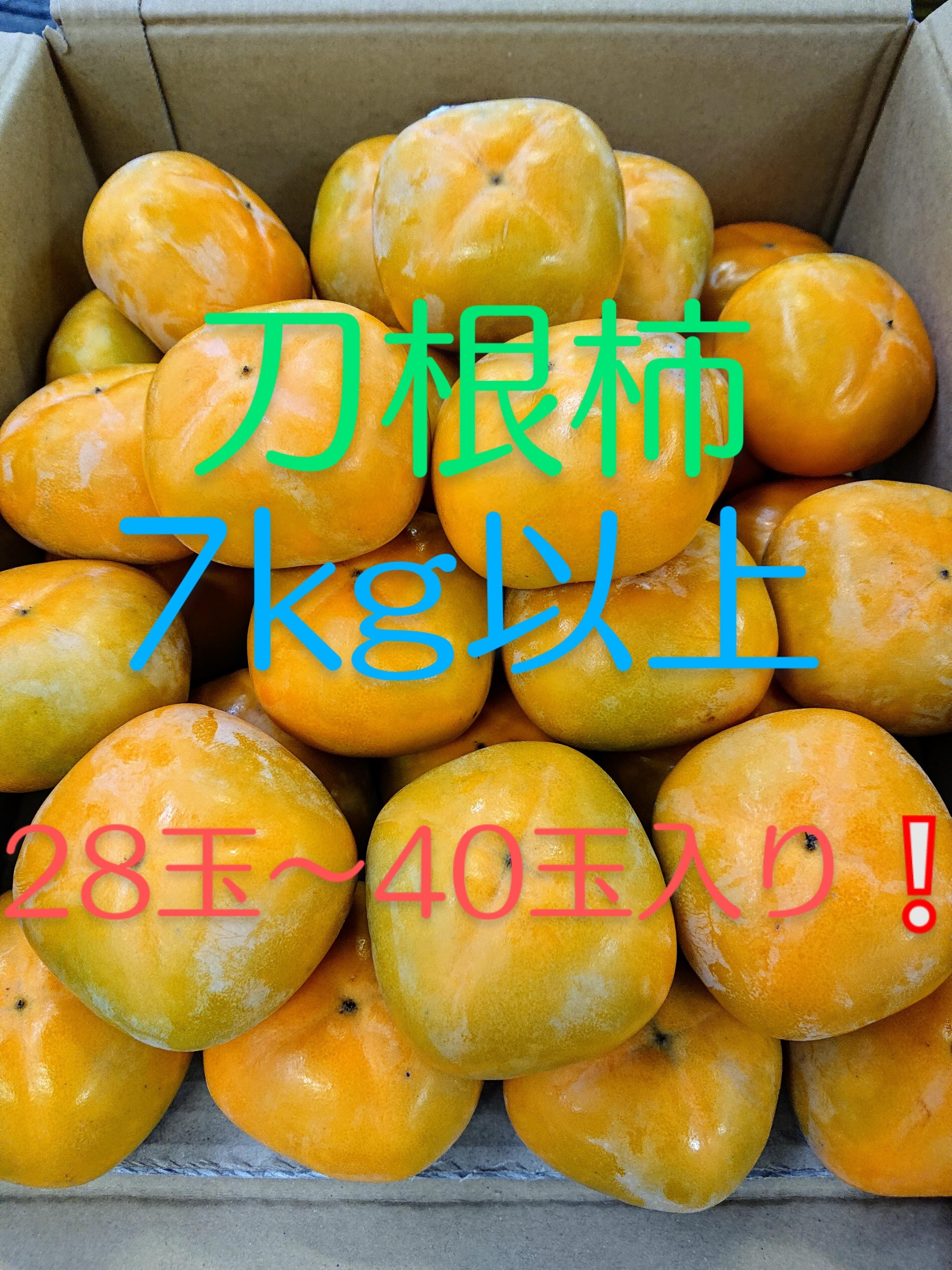 細尾青果株式会社 フルーツマイスターみかん屋の最新ニュース・プレス