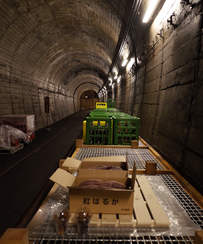 「のと鉄道能登線トンネル」を貯蔵庫に利用