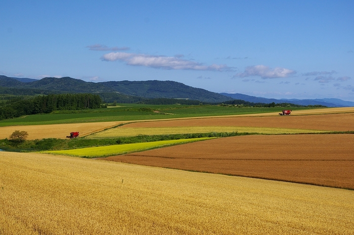 農作業が作り出す唯一無二の風景