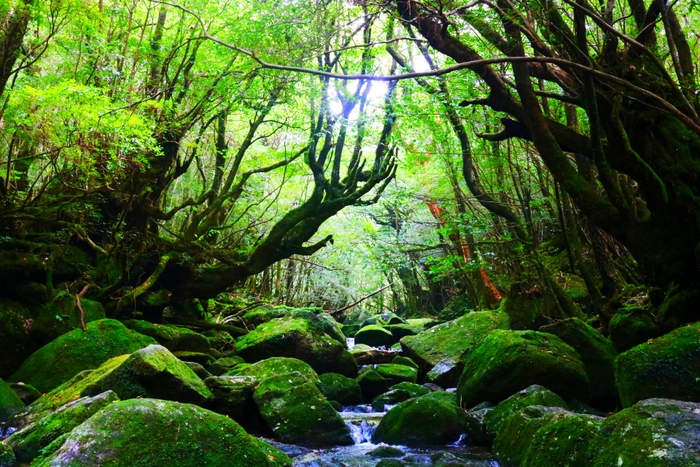 白谷雲水狭