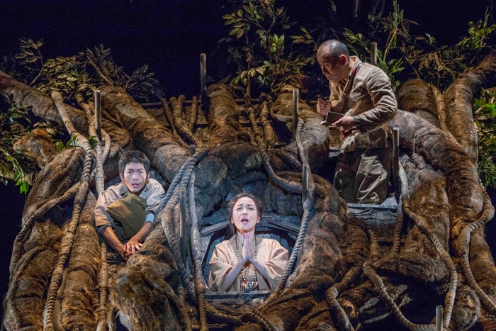 こまつ座「木の上の軍隊」（2016年版）撮影：谷古宇正彦
