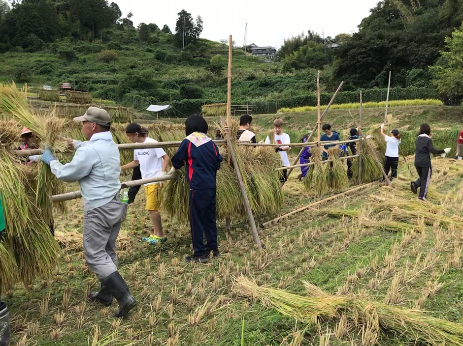 近江里山フィールドワーク