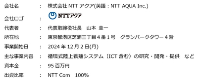 新会社の概要