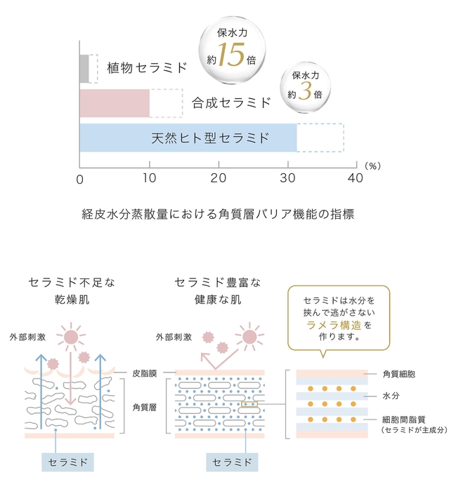 長鎖型天然ヒト型セラミド