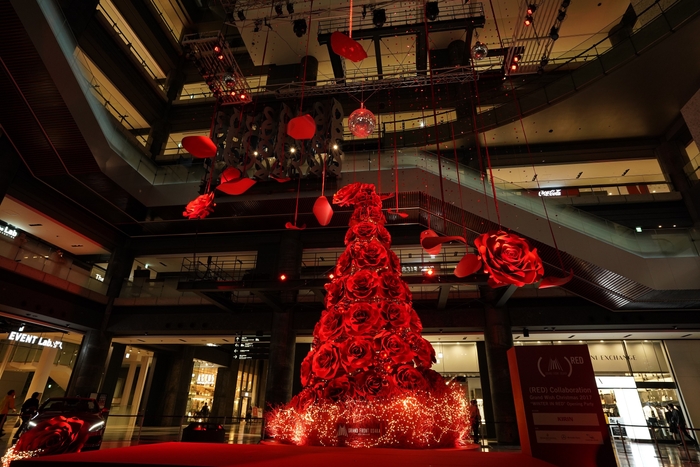 クリスマスツリー