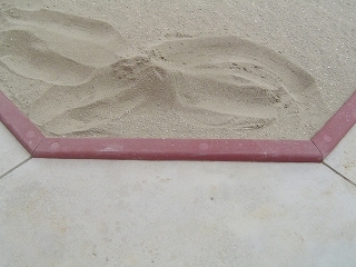 エースエコブロックガード