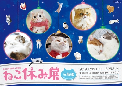 キービジュアル(横)